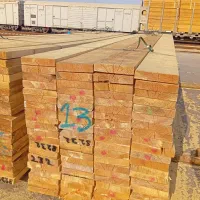 فروش مستقیم **چوب روسی|عمده‌فروشی|چهاردانگه (تهران), |دیوار