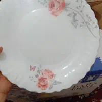 سرویس آرکوپال|ظروف سرو و پذیرایی|مشهد, کارمندان دوم|دیوار