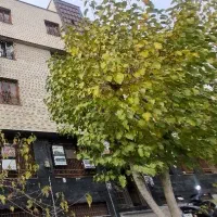 ۷۰ متر/ تابلو خور/ مناسب هر شغل/ بر خیابان