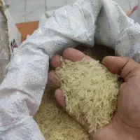 برنج دانه بلند محسن