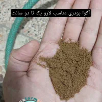 غذا و دارو و ویتامین عمده برای ماهیان|ماهی|کرمانشاه, |دیوار