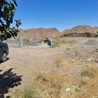 زمین با سند تکبرگ طبس