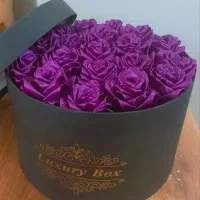 راهنمایی می کنم