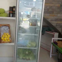 استند میوه و یخچال ویترینی|فروشگاه و مغازه|ماسال, |دیوار