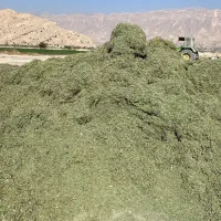 فروش یونجه خورد شده (کاه)