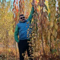 نهال فروشی صفانیا دارای مجوز رسمی