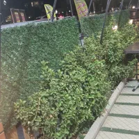 فنس چمن متری ۲۰۰
