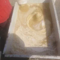 عسل کناربسیارخالص|خوردنی و آشامیدنی|شیراز, آزادی|دیوار