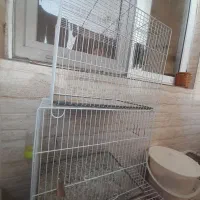 دوعدد قفس مرغ عشق