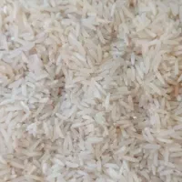 برنج فجر سوزنی