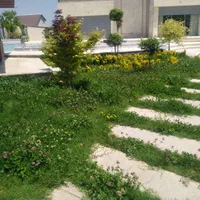 چمن زنی و علف زنی چمن کاری و گل کاری حاشیه زنی|خدمات باغبانی و درختکاری|ارومیه, |دیوار