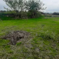 فروش ملک باغی زیرقیمت