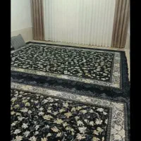 قالی نو عالی تمام نخ  سه عدد قالی 12متری