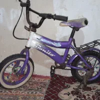 دوچرخه 12وانگشتر