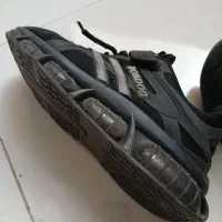 ارزان کتانی باب داگ