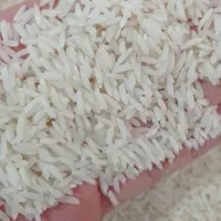 برنج  هاشمی