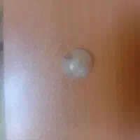 سنگ اصلی درنجف به فروش می‌رسد