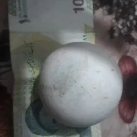 سنگ اسیاب الماس