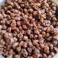خرما برحی درجه یک