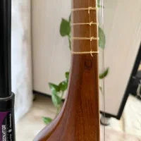 سه تار مهر هاتف به همراه کاور|سازهای سنتی|مشهد, شهید فرامرز عباسی|دیوار