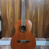 گیتار suzuki
