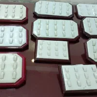 تعدادی مانکن و استند بدلیجات