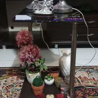 لوازم دکوری آباژور.مجسمه.گل و غیره