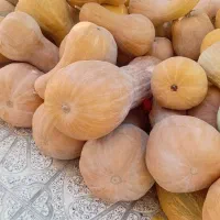 کدو|عمده‌فروشی|آشخانه, |دیوار