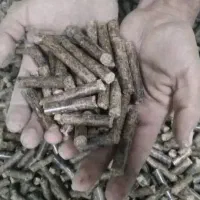 کنجاله کنجد خوراک دام جایگزین سویا