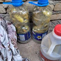 خیار شور 3.5 کیلویی