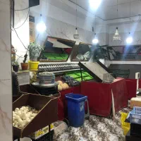 اجاره یا رهن مغازه 40 متری  نبش برای میوه فروشی|اجارهٔ مغازه و غرفه|نسیم‌شهر, |دیوار