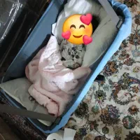 فروش تخت بچه با گهواره و راهروک