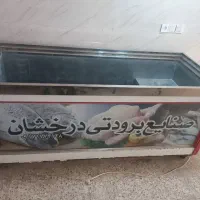 فریزر صنعتی