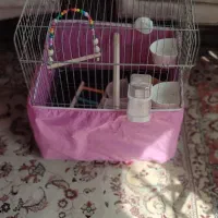 قفس عروس هلندی