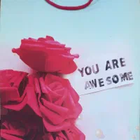 فروش تعداد 480 عدد ساک دستی|کیف، کفش، کمربند|بومهن, |دیوار