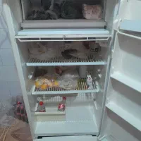 یخچال|یخچال و فریزر|تربتحیدریه, ترمینال|دیوار