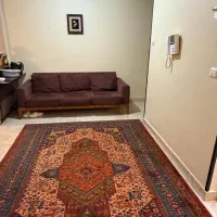 ویلایی دویست متری جنوبی بنا قابل سکونت دهکده|فروش زمین و ملک کلنگی|تهران, زیبادشت|دیوار