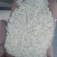 برنج تیلکی عنبربوشوشتر|خوردنی و آشامیدنی|مسجد سلیمان, |دیوار