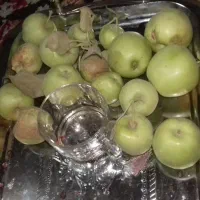 سیب درختی برای سرکه وحیوانات
