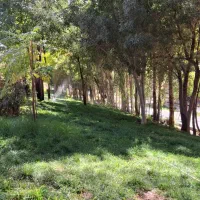 نیازمندسرویس مدرسه