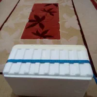 یک عدد اکاسیو مسافرتی نو|ظروف نگهدارنده، پلاستیکی، یک‌بارمصرف|چناران, |دیوار