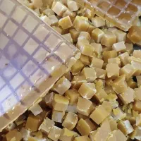 آموزش تولید نبات و نصب تجهیزات نبات|خدمات آموزشی|شیراز, ارم|دیوار