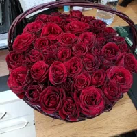 سبد گل رز . دسته گل