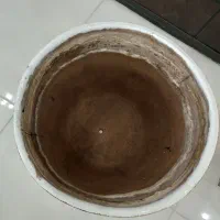 گلدان بزرگ|کلکسیون و سرگرمی|تبریز, |دیوار