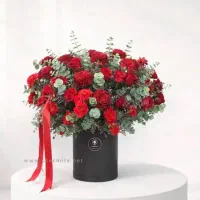 باکس گل|گل و گیاه طبیعی|اصفهان, سروستان|دیوار