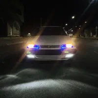 زانتیا 88 وحشی