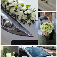 تشریفات 0 تا ۱۰۰ عقد عروسی پکیج عروس/آتلیه/تالار