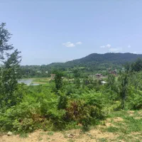 فروش فوری زمین ۷۴۵متری داخل طرح هادی، روستای چماچا|فروش زمین و ملک کلنگی|شفت, |دیوار