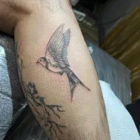 تتو(تاتو)بدن