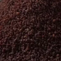 کشمش آفتابی خرمدشت کیلویی۲۵۰۰۰۰|خوردنی و آشامیدنی|محمدیه-قزوین, |دیوار